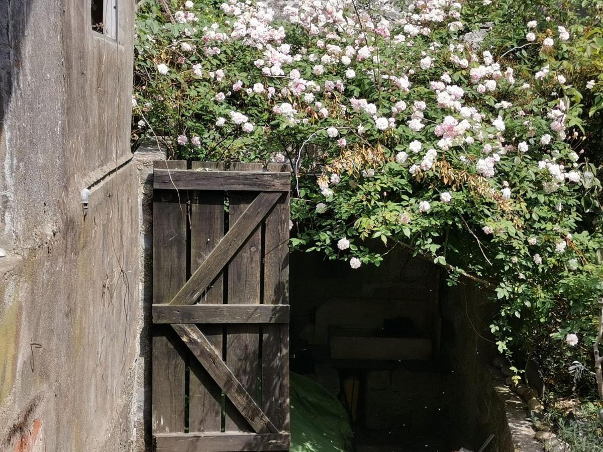Verites Dame Villa Porto Bagian luar foto